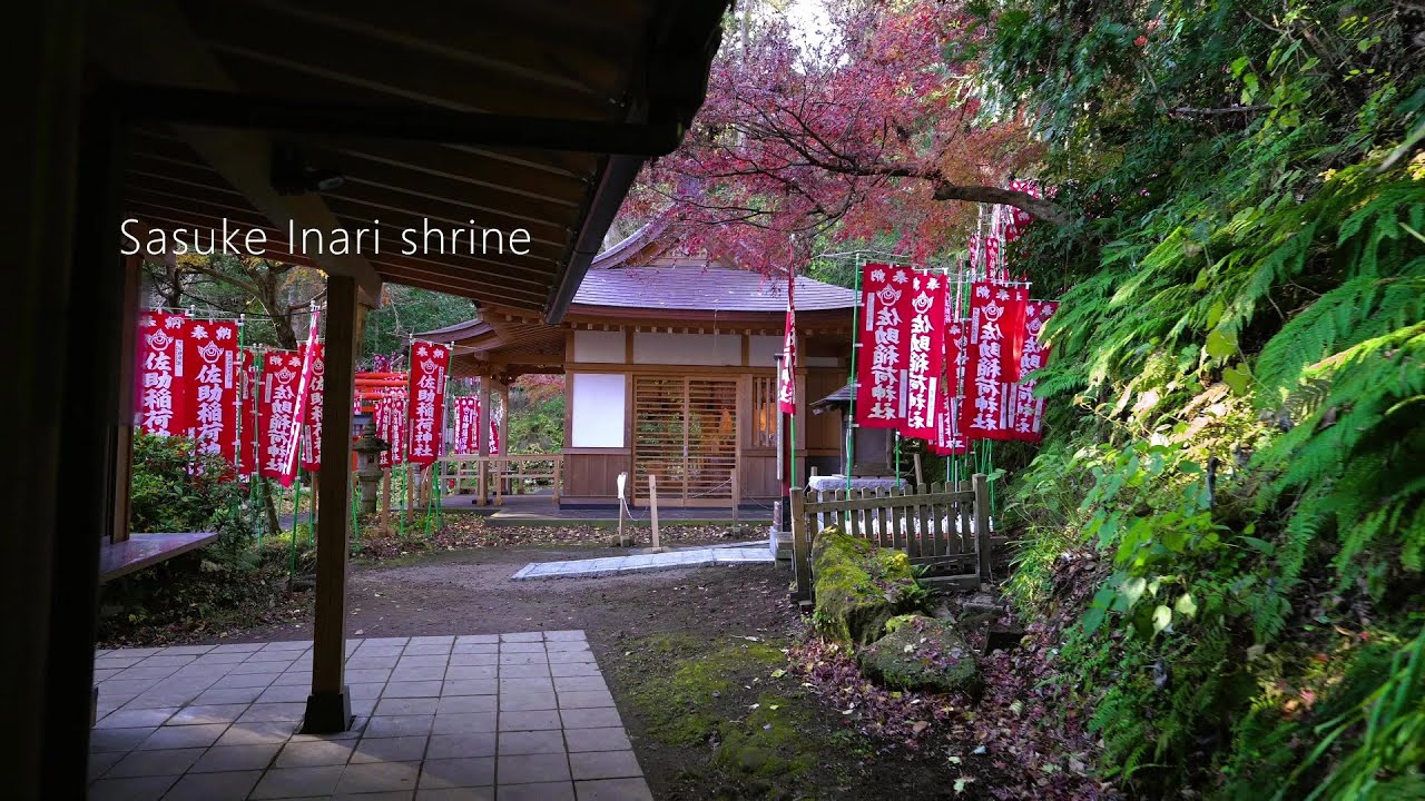 【鎌倉散歩】佐助稲荷神社を散歩［4K］源頼朝ゆかりの神社