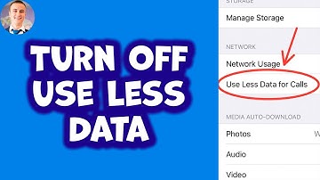 How To Turn Off Use Less Data for Calls on WhatsApp From iPhone(2023)