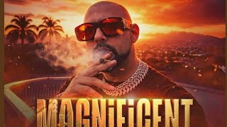 Sean Paul - Magnificent [Offical Audio]