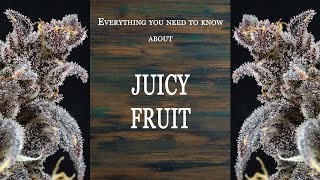 Juicy Fruit | Best Buds Stain Spotlight