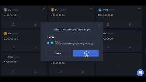 We Share Abundance Training- How to add a Token to your dashboard in Waves Exchange