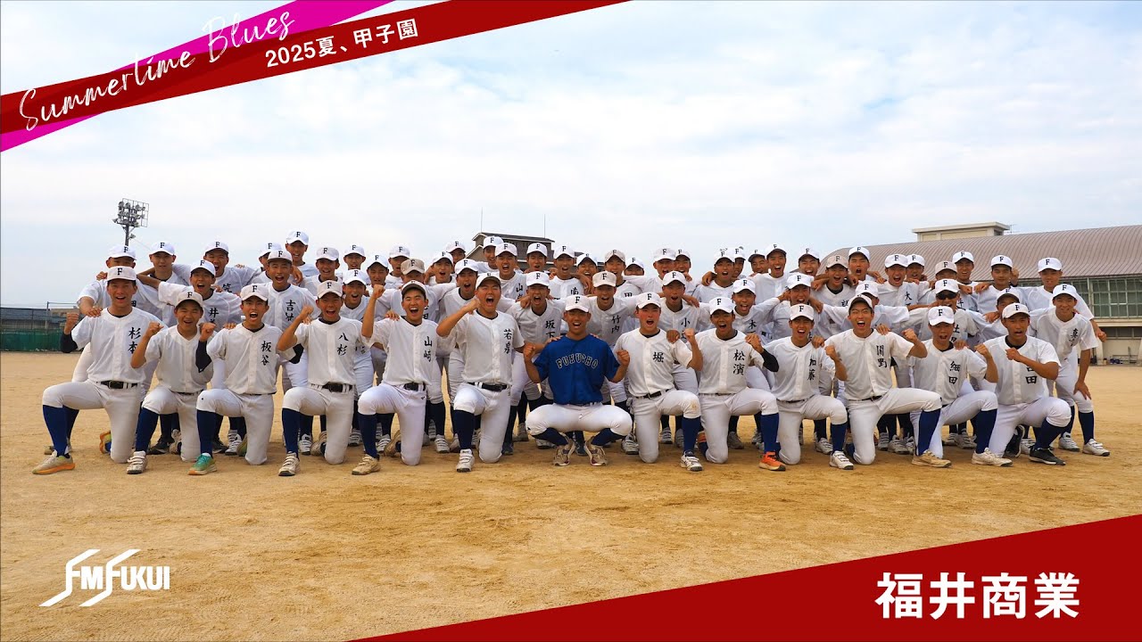 福井 高校 野球