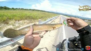 Nikmat Strike Ikan. Di tengah mentari | Yes GoGo soft bait 10-X screenshot 3