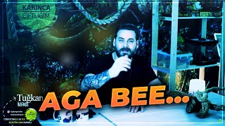 Karinca Çi̇ftli̇ği̇m...