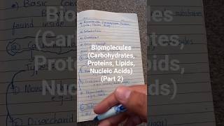 Carbs, Proteins, Fats — What Do They Do?