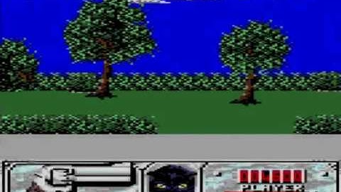 Amstrad GX4000 ► Wild Streets