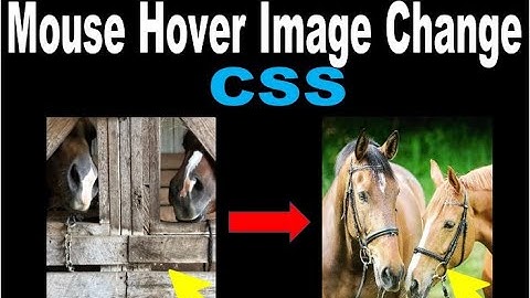 Change Image On MouseOver Only Using CSS | CSS tips and trycks | #SmartCode