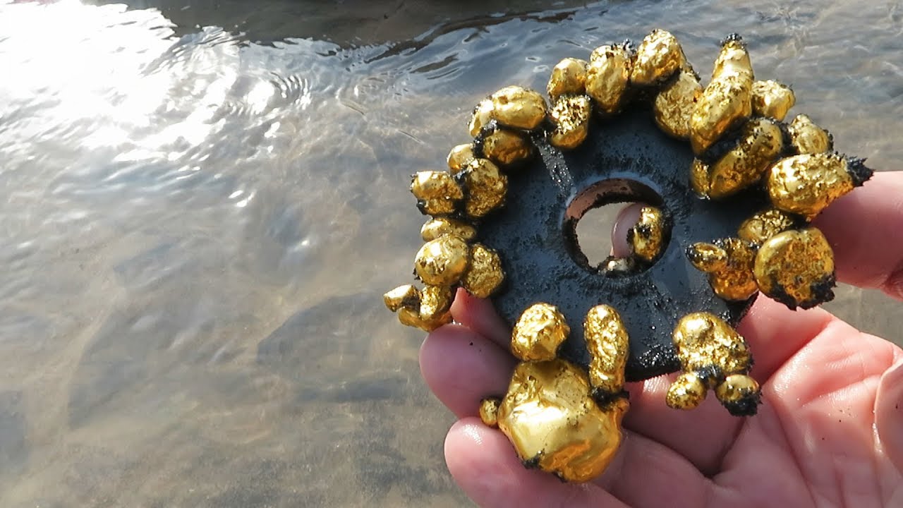 We pull out gold with a simple magnet; this is a trick for nuggets