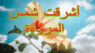 أشرقت شمس المروءة | عبد الله المهداوي