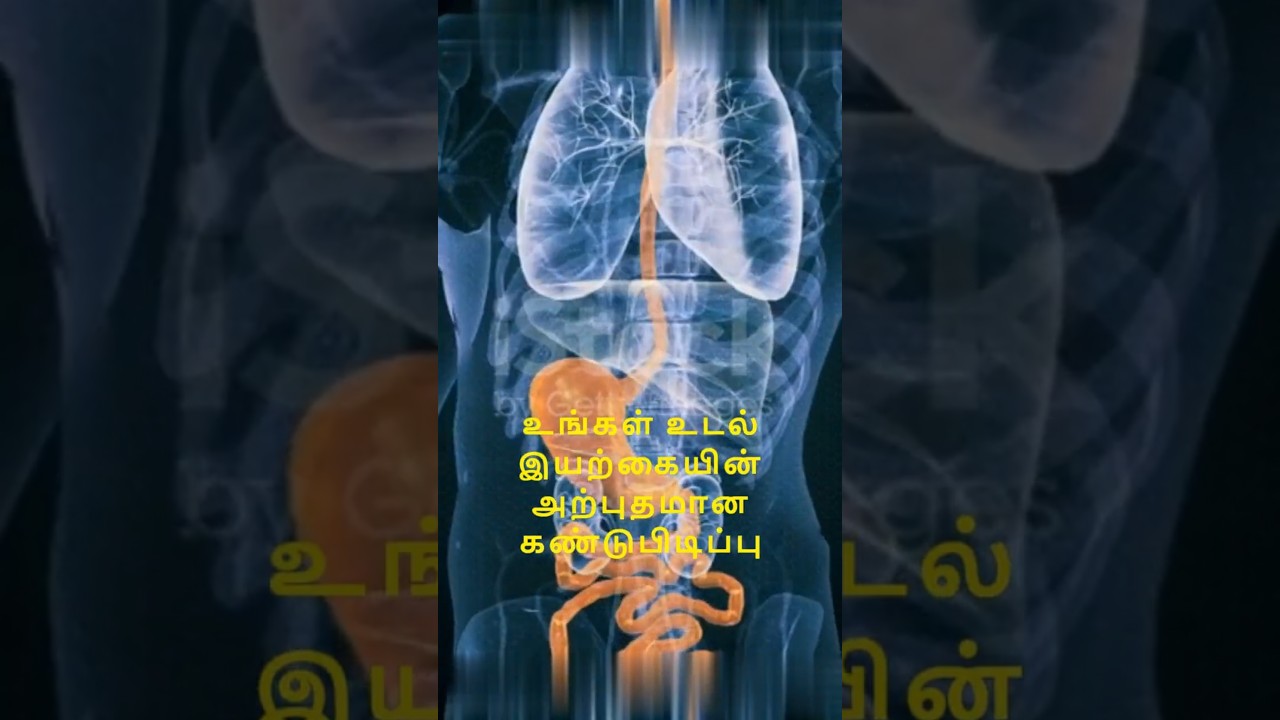 உங்கள் வயிறு மூன்றே நாட்களில் மீண்டும் உருவாக்கிக்கொள்கிறது   #tamilshorts  #tamilfacts #amazing