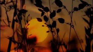 Eglė Jakštytė - Saulės rojus