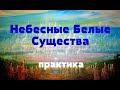 Многомерный хор белых небесных существ/через Натали Глассон