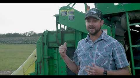 Cotton varieties made for the Southeast