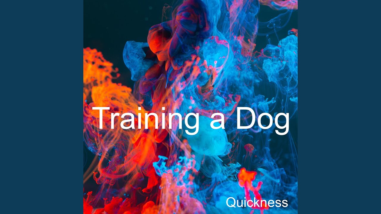 Watch Training a Dog on YouTube Watch Training a Dog on YouTube