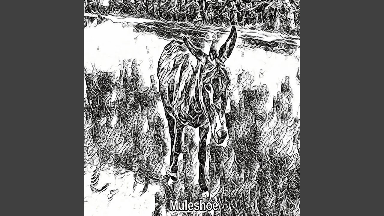 Watch Muleshoe on YouTube Watch Muleshoe on YouTube