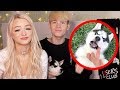 WE ADOPTED OUR FIRST PUPPY! FT. Zoe Laverne &amp; Cody Orlove