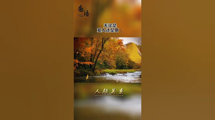 感悟·人际关系 - 天天要闻