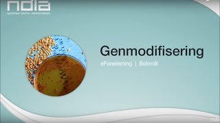 Genmodifisering