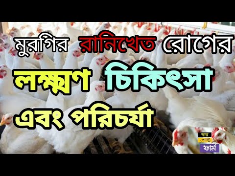 ভিডিও: ভোরোনেজের 