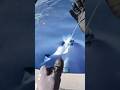 struck by a large tuna 😱 #fishing #fishingvideo #fishingtuna