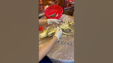 Đính Cá Ngựa Chúa Vào Củ Nhân Sâm Hàn Quốc #shorts #shortvideo #nhansamhanquoc #cangua