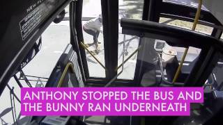 MCTS Bunny Story