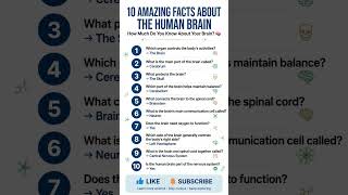 🧠 10 Amazing Facts About the Human Brain 🤯 | Brain GK Quiz in English #Shorts