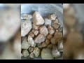 كنوز كبكابيه كنوز كبكابيه