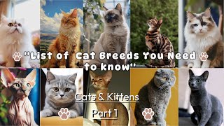 List of  Cat Breeds You Need to Know Part 1 💜