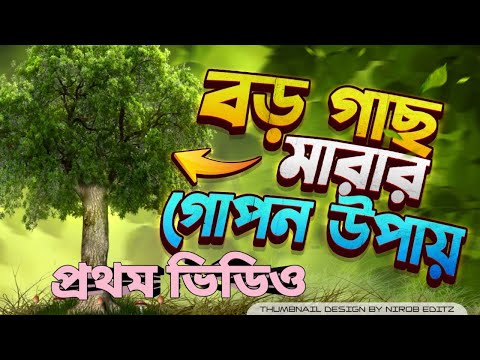 ভিডিও: গাছপালা শুকিয়ে যেতে পারে?