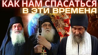 Как нам пережить и спасаться в эти трудные последние времена на примере старцев и святых Как нам пережить и спасаться в эти трудные последние времена на примере старцев и святых