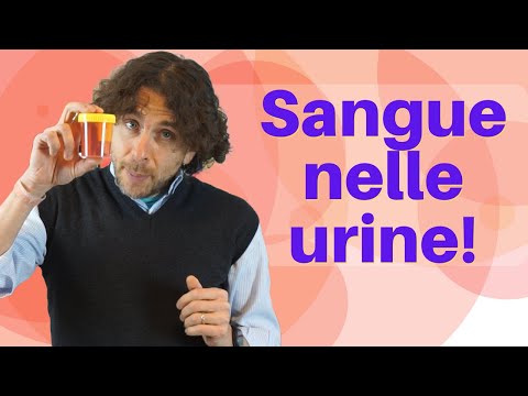 Video: Perché tracce di sangue nelle urine?