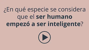 ¿Qué especie es más inteligente que el ser humano?