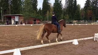 Paasto raviohjelma 69% 23092017