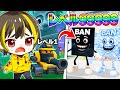 アドミンより強い新キャラ!?「バンバンバンサフール」に進化させてみた結果...【ロブロックス】