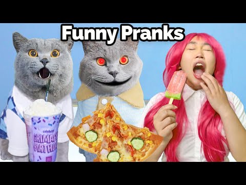 Watch My Video Now To Fill You With Laughter!😹👏 | Oscar‘s Funny World | New Funny Videos 2024