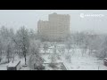Кадры снегопада в Москве и Подмосковье