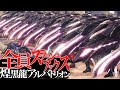 【MHWI】『全員スラッシュアックス』で煌黒龍アルバトリオンチキンレースをするおかしな集団