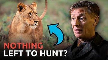 What Did the Animals Eat AFTER the Biblical Flood?