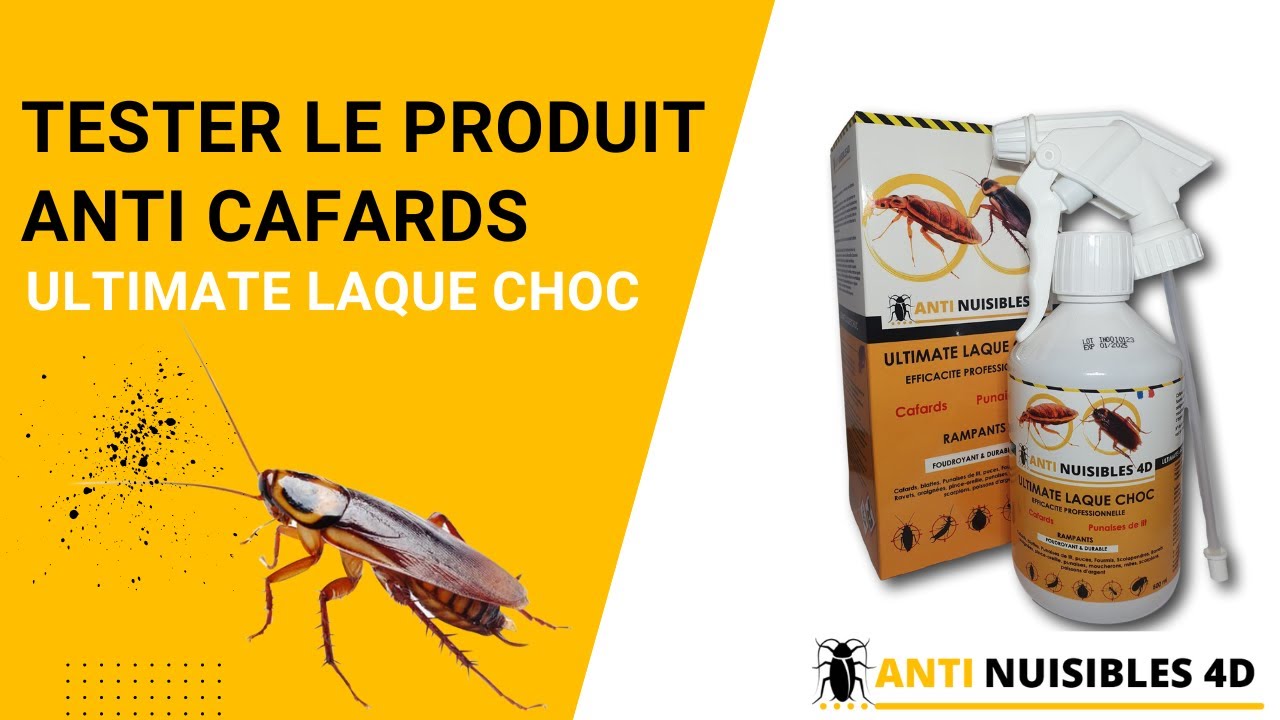 Pack contre CAFARDS +++ Fort infestation