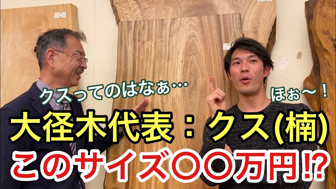 クス(楠)一枚板！大径木・その特徴とは？【銘木シリーズ】