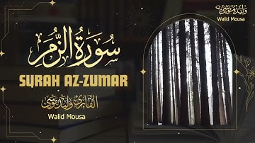 تلاوة مؤثرة من سورة الزمر تملأ الروح طمأنينة وتغمر القلب بالإيمان | Surah Az-Zumar Quran Soul