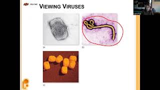 2023 Spring MCRO2124 Introduction to Microbiology Chapter 6 Lecture: Viruses