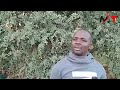 KUJA UFUNGE BUNGE YA JACARANDA KAMA UKO NA MAKENDE KUBWA ANGRY KIMBI KIMBI WARNS CRITICS KUJA UFUNGE BUNGE YA JACARANDA KAMA UKO NA MAKENDE KUBWA ANGRY KIMBI KIMBI WARNS CRITICS