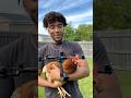 Helping a chicken achieve its dreams. “This man did what no one would…and changed her life forever”