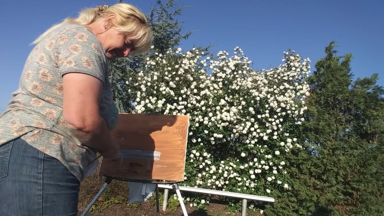 Episode 381: The Garden At WoodField