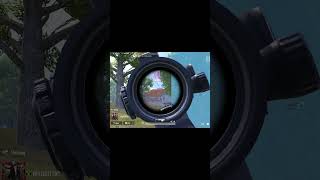 export 1777764908553