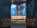 【生活】東北角「尖翅燕魚風暴」 八斗子鋼鐵礁現美景