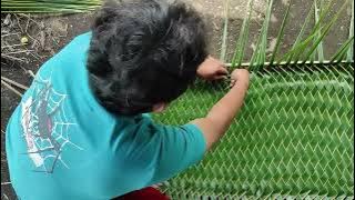 Kumpulan Lagu Dangdut Lawas Terbaik | Om Himawan Full Album Nonstop Enak Didengar Sepanjang Hari!