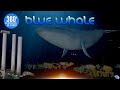 BLUE Whale VR 360 3D 4K